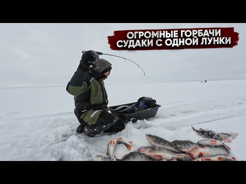 Видео: Ломовой КОРЯЖНИК полон СУДАКА и КИЛОГРАМОВОГО окуня! ЛУЧШЕ рыбалки БЫТЬ НЕ МОЖЕТ