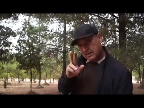 Видео: Даъвои падар бо муаллима дар Мӯъминобод идома дорад