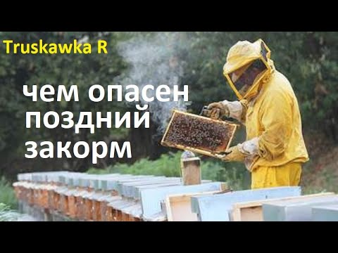 Видео: #Пчёлы. Какие последствия позднего закорма #пасеки.  Почему нужно успеть покормить пчёл вовремя.