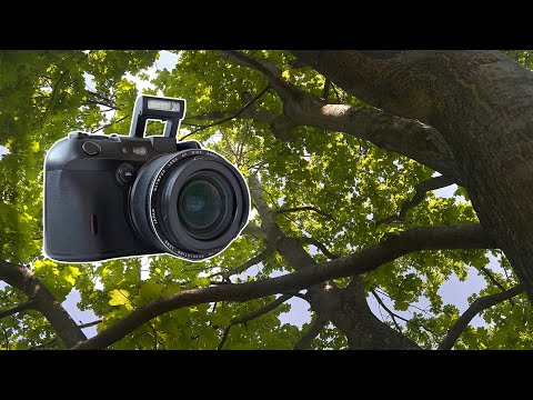 Видео: Выгуливаю Olympus C8080 2/3 матрица 8mp CCD из 2004 года. Для души