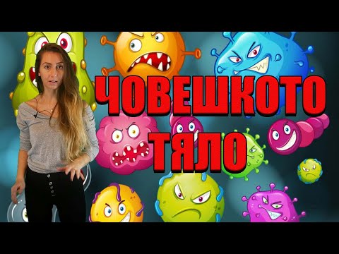 Видео: 10 НОВИ ФАКТА ЗА ЧОВЕШКОТО ТЯЛО