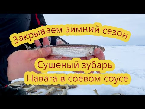 Видео: Подлёдная рыбалка на Сахалине | Сушим корюшку и навагу
