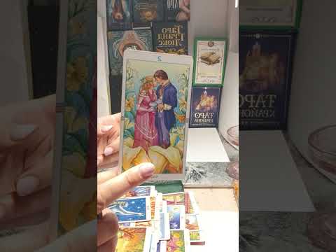 Видео: Если бы он был поэтом..... 🧐🤔🫣