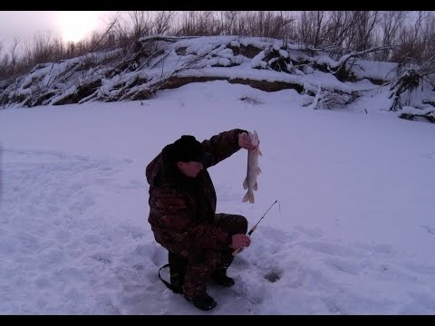 Видео: Очередная зимняя рыбалка +1 ЩУКА.