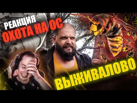 Видео: Реакция  "Охота на ос" от ВЫЖИВАЛОВО