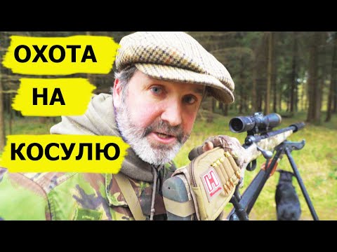 Видео: Охота на косулю. Неповторимый вкус охоты/FARMING THE WILD (Охотник и рыболов)