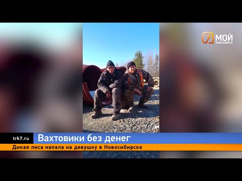 Видео: Вахтовики Красноярского края обвинили компанию «Агат» в невыплате и задержке зарплаты