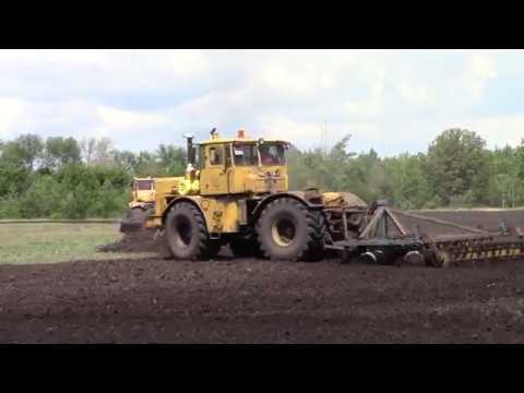 Видео: Трактор К 700 на дисковании поля