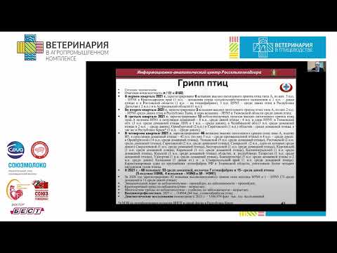 Видео: Джавадов Э. Д. Эпизоотическая ситуация по инфекционным болезням птиц в РФ.