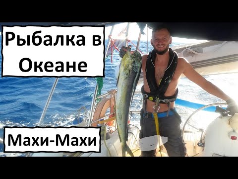 Видео: Рыбалка в океане. Махи-Махи