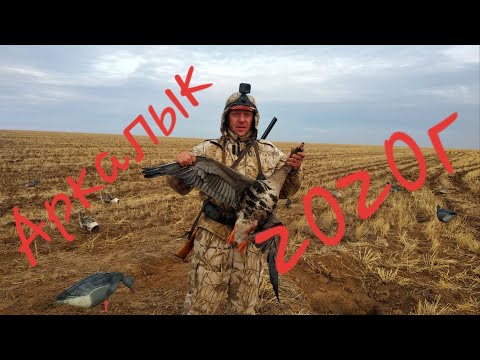 Видео: Охота в Казахстане Аркалык 2020г