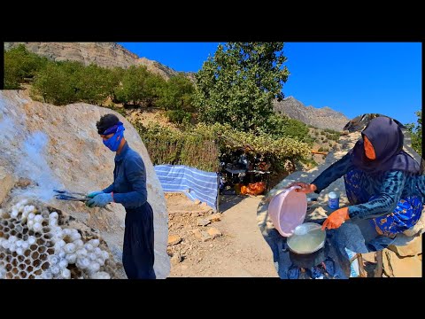 Видео: Кочевой образ жизни и охота за диким мёдом | Племенная семья