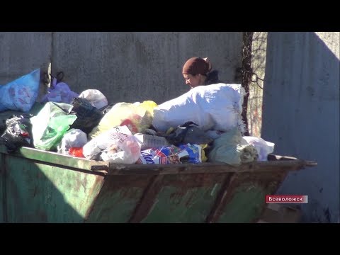 Видео: Цыганский вопрос во Всеволожском районе