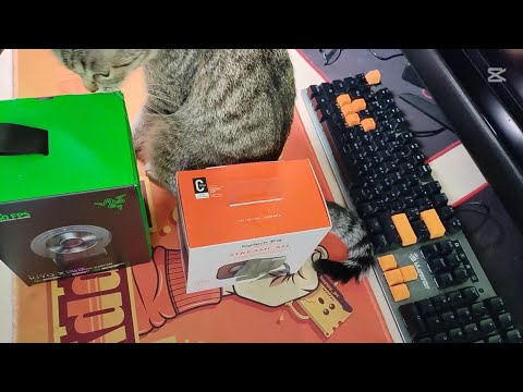 Видео: Распаковка. Razer Kiyo X. Logitech StreamCam. ( Веб-камеры )