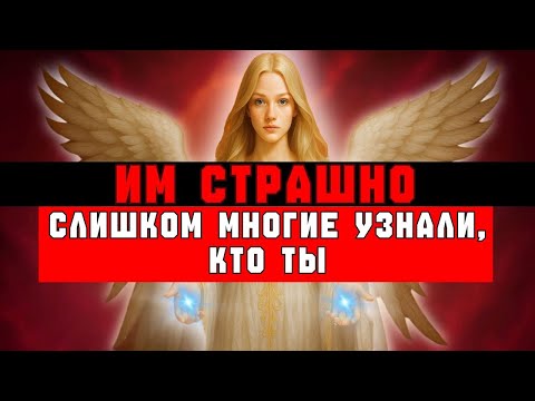 Видео: ИЗБРАННЫЕ, ЗА ВАШИМИ ПРЕСЛЕДОВАТЕЛЯМИ СЛЕДИТ ФЕДЕРАЛЬНОЕ РАССЛЕДОВАНИЕ 👀