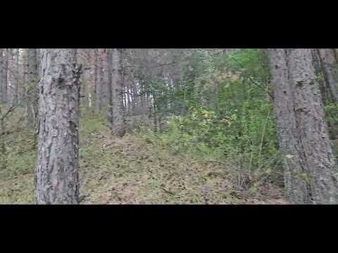 Видео: Рош-а-Щана в Болгарии