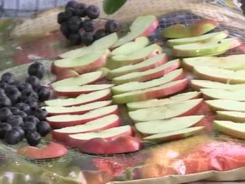 Видео: Программа Дачные сезоны 2 сентября 2017. Осенняя подкормка сада. Собираем урожай персиков.