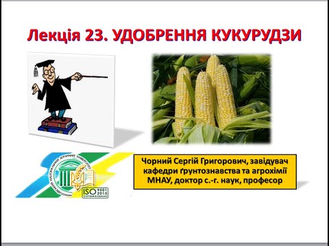 Видео: Агрохімія. Лекція 23. Удобрення кукурудзи.