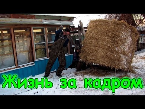 Видео: Семья Бровченко. Жизнь за кадром. Обычные будни. (часть 114) (рел.)