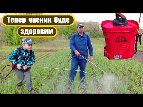 Видео: Опрыскиватель Vitals Sm112о. Обрабатываем чеснок от болезней и вредителей