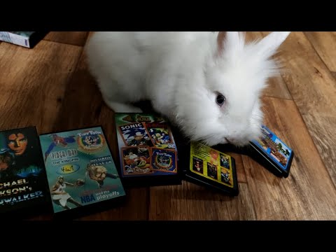 Видео: Проверка картриджей Sega #1