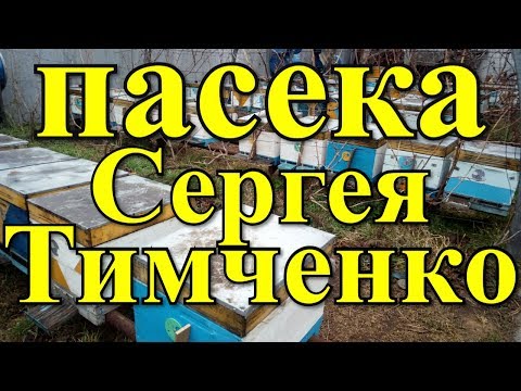 Видео: На пасеке Сергея Тимченко / FABRO