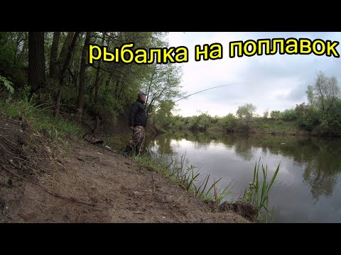 Видео: Рыбалка в мае 2021. самый крупный лещ поймался за все года моей рыбалки!