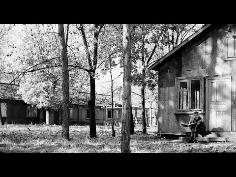 Видео: Веретено - Алиса (Кавер)