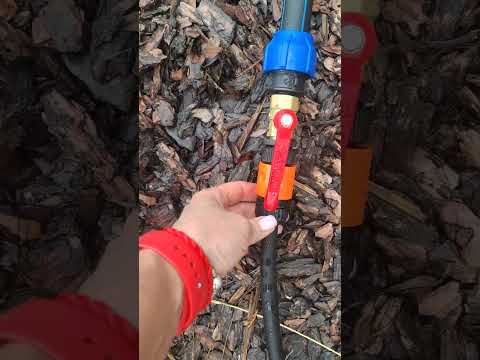 Видео: 19 октября 2025 г.