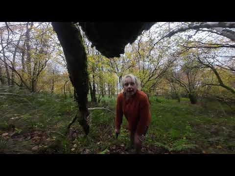 Видео: 01.08.25 Сбор древесины, природные ресурсы, живущие вдали от цивилизации, часть 1