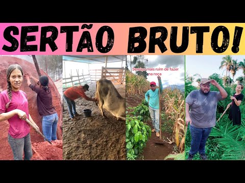 Видео: Худшие работы полей-только брабос может справиться с э...