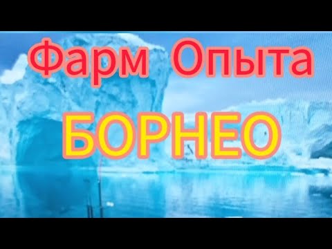 Видео: Русская Рыбалка 3.9 (РР3) (Борнео) (Фарм Опыта и Денег) 100 млн опыта за 1 игровые сутки