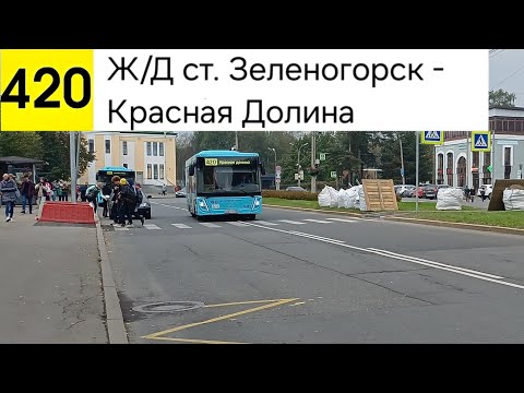 Видео: Автобус 420. Ж/Д ст. Зеленогорск - Красная Долина