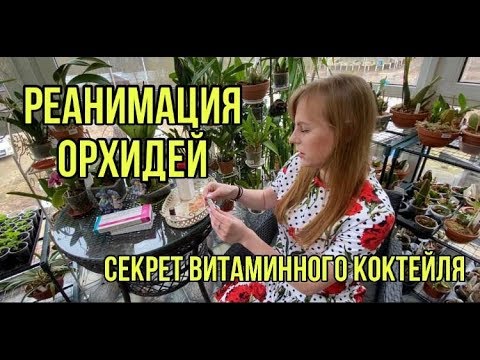 Видео: Реанимация орхидей Витаминный коктейль