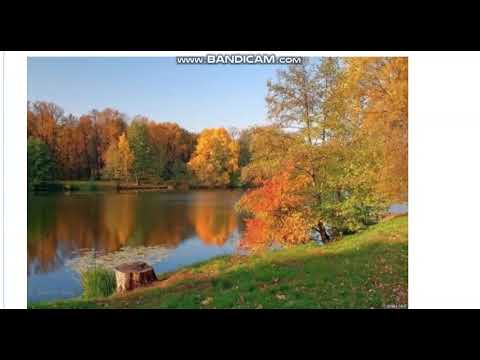 Видео: Спешите творить добро