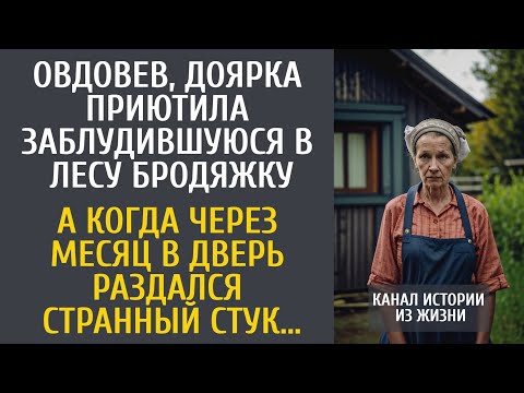 Видео: Овдовев, доярка приютила заблудившуюся в лесу бродяжку... А когда через месяц в дверь постучали…