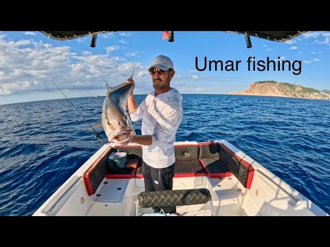 Видео: ТОЛЬКО КЛЮЕТ ЖЕЛТО ХВОСТ