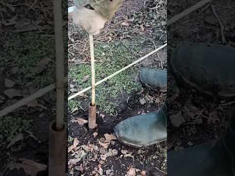 Видео: Бюджетный парник.