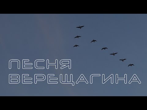 Видео: Ваше благородие...