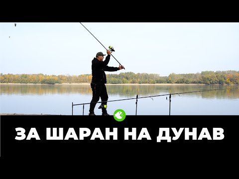 Видео: ЗА ШАРАН НА ДУНАВ - Бърз излет в търсене на нови места и едри риби