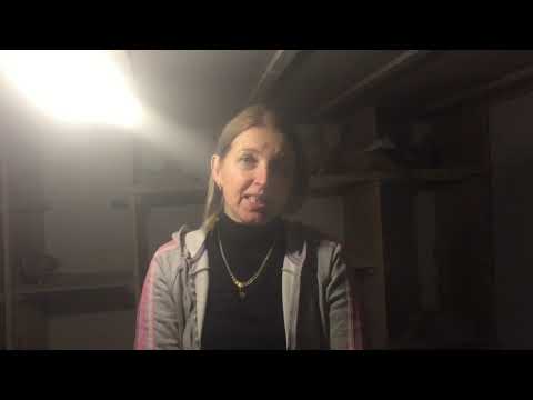 Видео: Вакцинация голубей