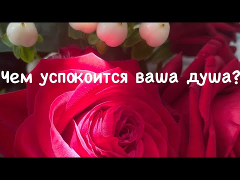 Видео: Душа,которая долгое время была одинока и изранена…Вы будете награждены небом близостью и поддержкой