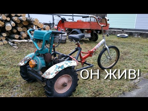 Видео: ТРАЙК! ОЖИВЛЕНИЕ ЛЕГЕНДЫ!