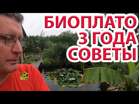 Видео: Биоплато пруда спустя 3 года. Последний наш опыт по ссылке в описании!