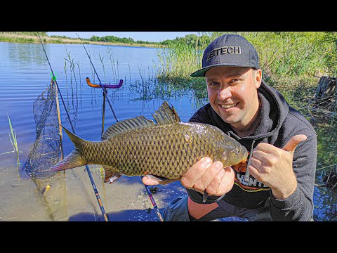 Видео: 🐠🐟🦈 Стільки видів РИБИ ще не ловив! Ловля на фідер, річка Псел.