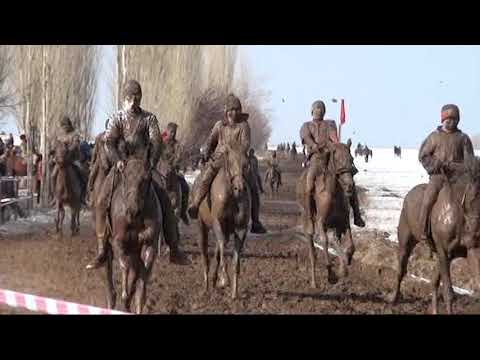 Видео: 1 марта 2022 г.