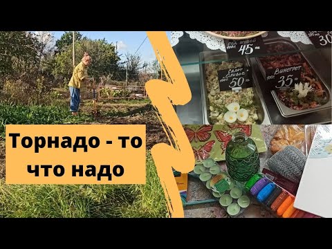 Видео: Мама заказала ручной культиватор Торнадо, а стоило? Пекарня в станице // Небольшие покупки