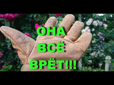 Видео: ОНА ВСЁ ВРЁТ! - кричали хейтеры.