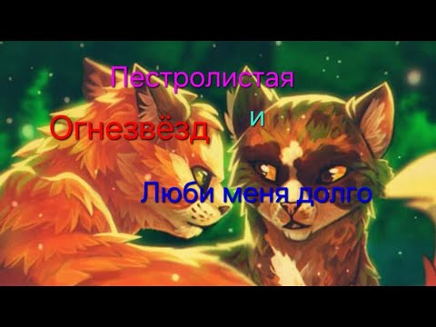 Видео: Пестролистая и Огнезвёзд : Люби меня долго