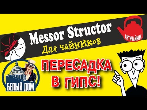 Видео: Муравьи Messor structor для чайников! Пересадка в гипсовый формикарий